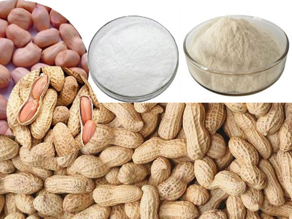 ���������a(ch��n)��(xi��n)